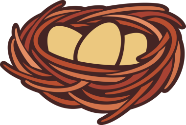 Şeffaf arkaplanda yumurta ve yuva PNG resmi