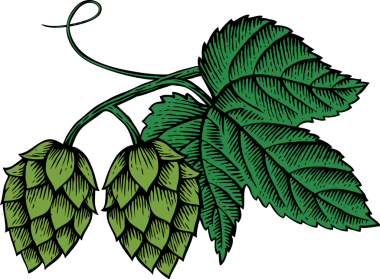 Şeffaf arkaplanda yapraklı PNG resmi olan Hops simgesi