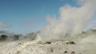Te Pui Pohuta gayzeri jeotermal volkanik park Rotorua Yeni Zelanda 'da. Yüksek kaliteli FullHD görüntüler