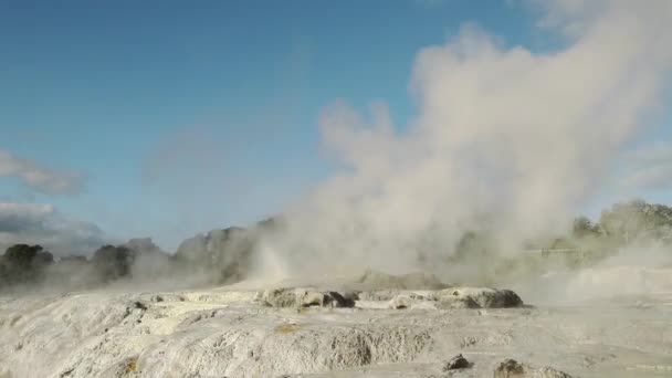 Гейзер Пуй Пхута Геотермальном Вулканическом Парке Роторуа Новой Зеландии Высококачественные — стоковое видео