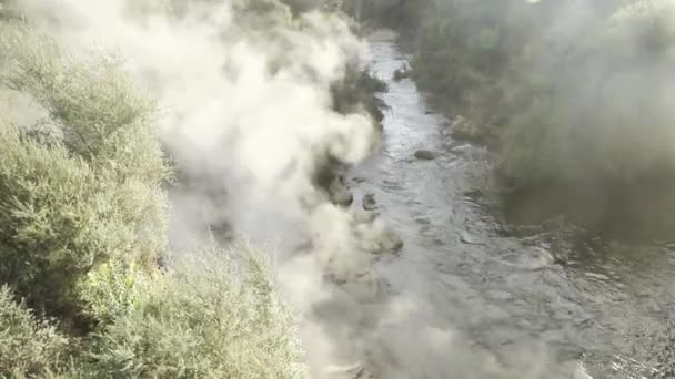 Geiser Pui Pohuta Parque Volcánico Geotermal Rotorua Nueva Zelanda Imágenes — Vídeo de stock