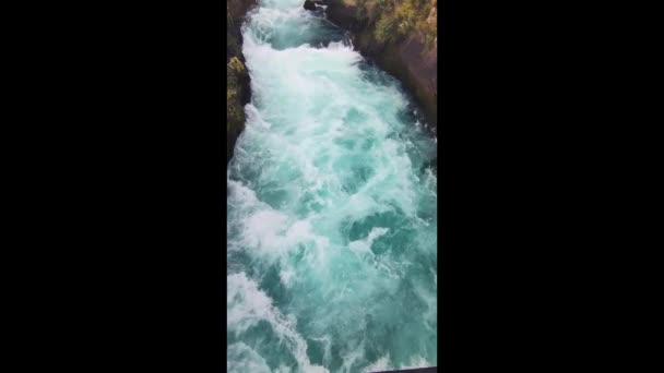 フカの川の急流はタウポやロトルア北島のニュージーランドに近く 木がある風景です 高品質の写真 — ストック動画
