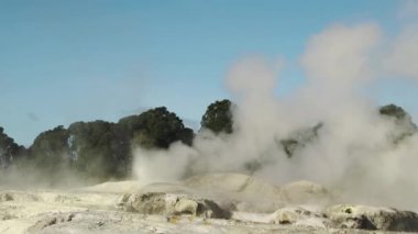 Te Pui Pohuta gayzeri jeotermal volkanik park Rotorua Yeni Zelanda 'da. Yüksek kaliteli FullHD görüntüler