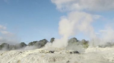 Te Pui Pohuta gayzeri jeotermal volkanik park Rotorua Yeni Zelanda 'da. Yüksek kaliteli FullHD görüntüler