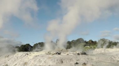 Te Pui Pohuta gayzeri jeotermal volkanik park Rotorua Yeni Zelanda 'da. Yüksek kaliteli FullHD görüntüler