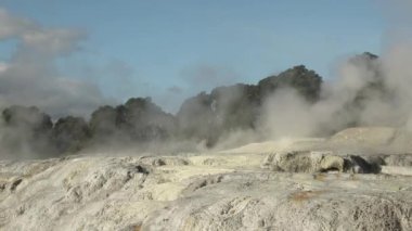 Te Pui Pohuta gayzeri jeotermal volkanik park Rotorua Yeni Zelanda 'da. Yüksek kaliteli FullHD görüntüler