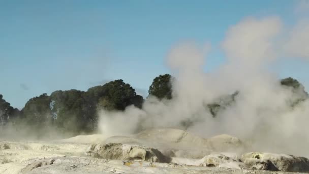 Pui Pohuta Geysir Geothermischen Vulkanpark Rotorua Neuseeland Hochwertiges Fullhd Filmmaterial — Stockvideo