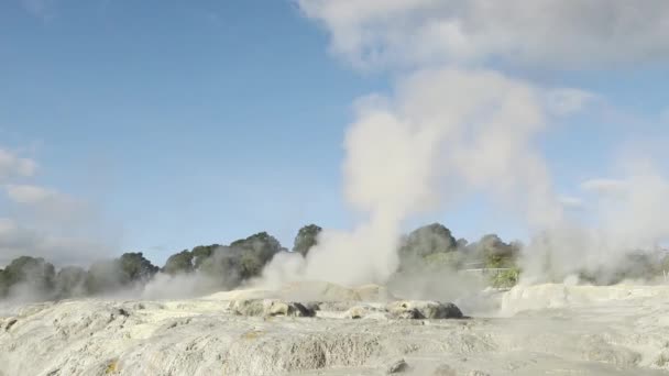 Pui Pohuta Geyser Geothermal Volcanic Park Rotorua New Zealand High — Stock Video