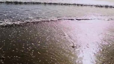 abstract sea water, waves and coastline, natural wild beach. High quality 4k footage
