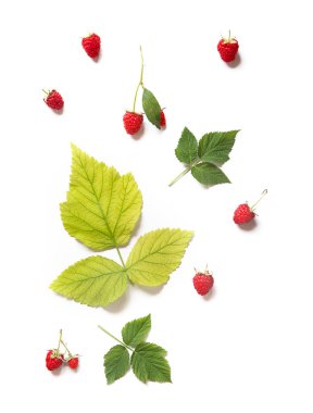 Beyaz arka planda izole edilmiş taze organik ahududu deseni, sağlıklı beslenme, yaz hasadı. Yüksek kalite fotoğraf