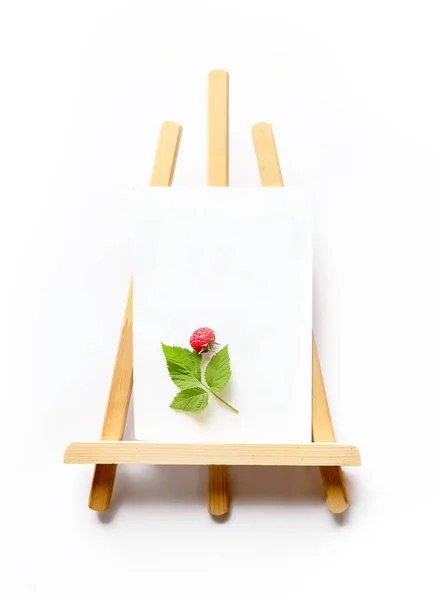新鮮な熟した生ラズベリーと緑の葉は 創造的な夏と健康的な食事のコンセプトとして白い紙に白いセットの上に隔離されています 高品質の写真 — ストック写真
