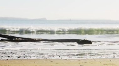 abstract sea water, waves and coastline, natural wild beach. High quality 4k footage