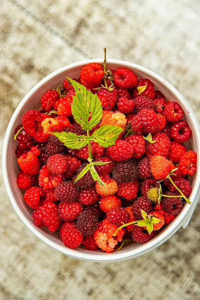 Fresh Organic Raw Raspberries Bucket Just Picked Berry Farm Pick — Stock Photo, Image