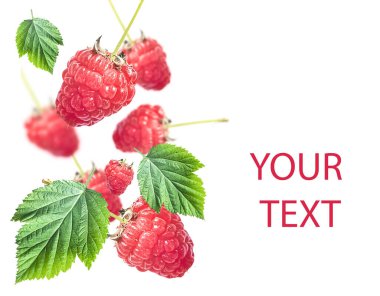 Beyaz arka planda izole edilmiş taze organik ahududu, sağlıklı beslenme, yaz hasadı. Yüksek kalite fotoğraf