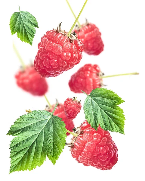 Levitation Pattern Fresh Organic Raw Raspberries Isolated White Background Healthy — Stock Photo, Image