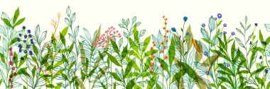Seamless horizontal border, abstract art with summer meadow plants, wild flowers, leaves, branch and Hand Drawn doodle Scribble floral plants. Design for wall decoration, postcard, poster or brochure