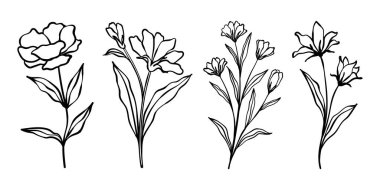 Dal ve yaprak koleksiyonu. Çiçekli el yapımı vintage set. Çizim çizgisi çizimi. Tebrik kartları ve düğün davetiyeleri için element tasarımı, doğum günü