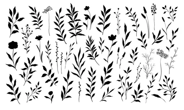 Set Branch Leaves Collection Floral Hand Drawn Vintage Set Sketch — Vector de stock