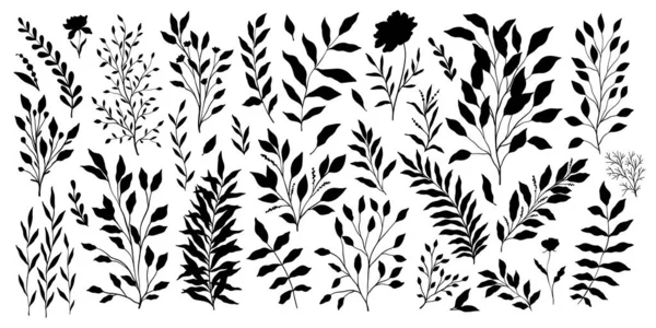 Коллекция Ветвей Листьев Цветочный Винтажный Набор Ручной Работы Иллюстрация Линии — стоковый вектор