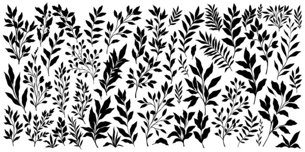Набір Гілок Листя Колекції Квіткова Рука Намальована Вінтажним Набором Ескіз — стоковий вектор