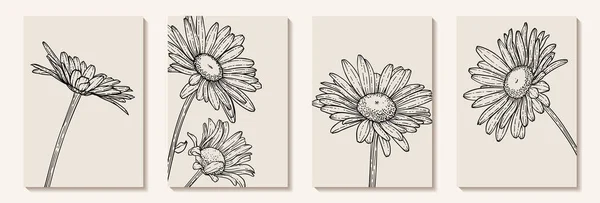 壁の装飾 ポストカードやパンフレットカバーデザインのための創造的なミニマリストの手描きイラストのセット花のアウトラインデイジーパステルBiegeシンプルな形状 — ストックベクタ