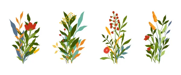 Kreativní Minimalista Abstraktní Umění Divoké Květiny Listy Větev Kytice Ručně — Stockový vektor