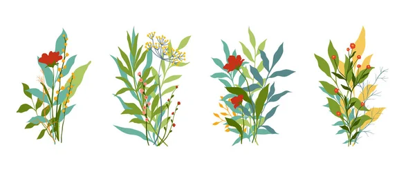 创意极简主义抽象艺术野花 手绘涂鸦 卷轴花植物 摘要页 在白色背景上隔离的野花 — 图库矢量图片