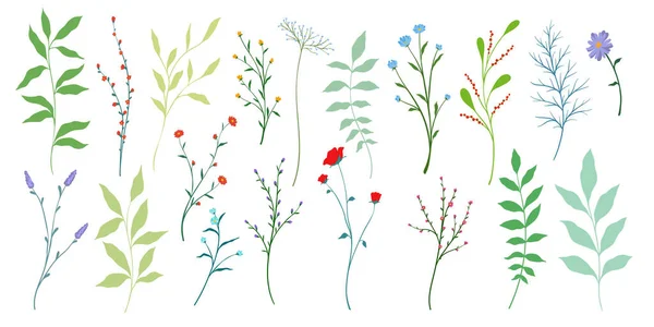 Creative Minimalist Abstract Art Wild Flowers Leaves Branch Hand Drawn Vektorgrafik