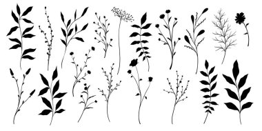 Dal ve yaprak koleksiyonu. Çiçekli el yapımı vintage set. Çizim çizgisi çizimi. Tebrik kartları ve düğün davetiyeleri için element tasarımı, doğum günü