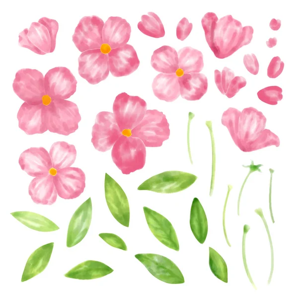 Set Elementi Floreali Rosa Fiore Rosa Foglie Verdi Gambo Concetto — Vettoriale Stock