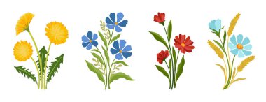 Yaratıcı minimalist, soyut sanat, yabani çiçekler, yapraklar, dal, el çizimi, Scribble çiçekleri. Soyut yaprak. Beyazlar üzerinde yaban çiçekleri.