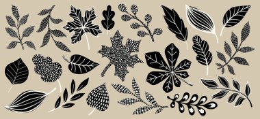 Siyah ve beyaz el yapımı botanik yaprak koleksiyonu, karalama stili yeşillik seti, dekoratif çiçek unsurları, modern minimal çizgili sanat bitkileri ve bej arka planda izole edilmiş dallar.