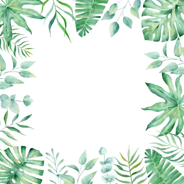 Exotische Aquarel Tropisch Frame Rand Palmboom Zomer Clipart Illustratie Sjabloon — Stockfoto
