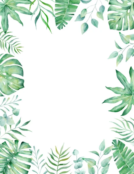 Egzotyczny Akwarela Tropikalny Ramka Obramowanie Palma Letnia Ilustracja Clipart Szablon — Zdjęcie stockowe