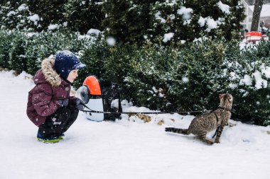 Kışın açık hava kedi bakımı. Soğuk Hava Kedi Güvenliği. Kışın kediler. Küçük çocuk, kışın karlı parkta evcil kedisiyle yürüyor.