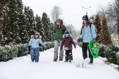 Aile ve arkadaşlar için açık hava kış aktiviteleri. Mutlu Aile, arkadaşlar, iki kadın, iki erkek çocuk ve köpek, anneler ve oğullar yürüyor, kışın karlı parkta eğleniyorlar.