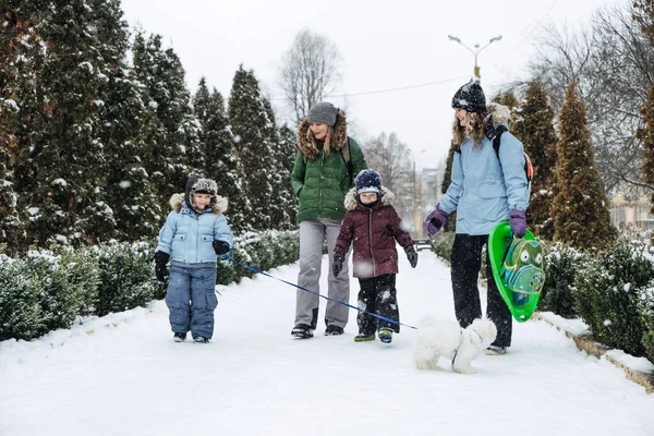 All Aperto Attività Invernali Famiglia Gli Amici Happy Family Amici — Foto Stock