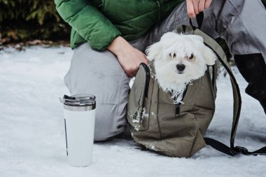 Soğuk kış mevsiminde evcil hayvan bakımı. Mutlu kadın ve Maltese köpeği sırt çantasıyla yürüyor, eğleniyor ve dışarıda sıcak çay içiyor kışın karlı parkta arka planda