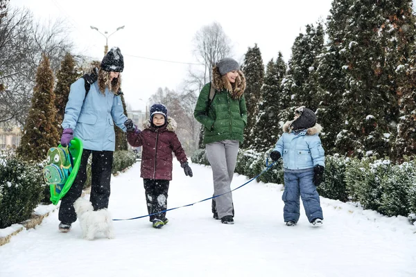 All Aperto Attività Invernali Famiglia Gli Amici Happy Family Amici — Foto Stock