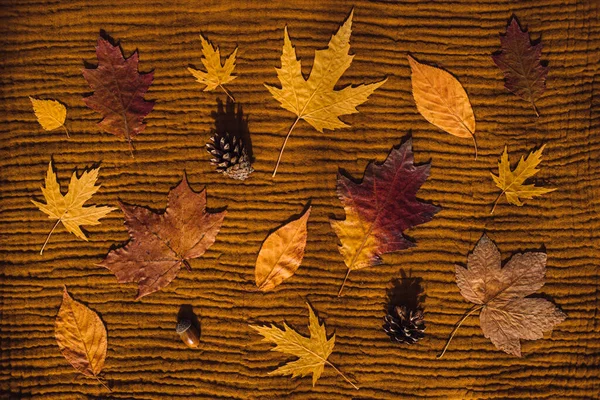 黄色と茶色の乾燥した葉と茶色の土着の生地の質感の背景 トップビューの秋の秋の背景 — ストック写真