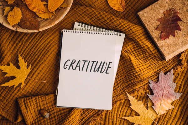 感謝を実践する方法 秋の感謝の日記を書いている テキストの感謝と秋の葉の茶色のベッドでオープンペーパーノートのページ 良いことを感謝し 自分に感謝を表明する — ストック写真