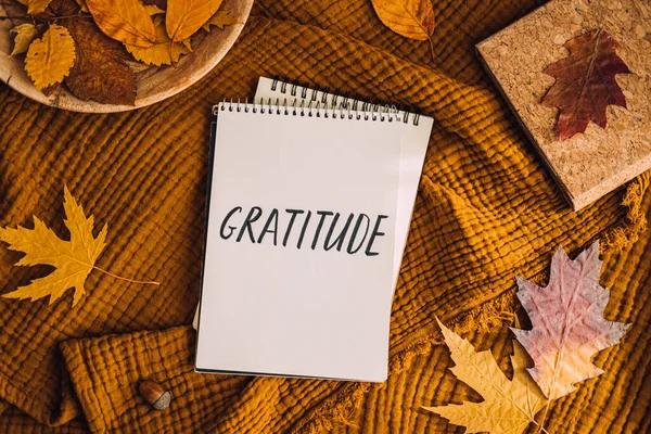 Cómo Practicar Gratitud Escribir Otoño Otoño Diario Gratitud Abrir Las Imagen De Stock