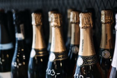 Parlak Cava ve Gül Şarabı. Fiyat etiketli köpüklü Cava ve Rose şarapları bir şarap dükkanının rafında zarif bir şekilde sunuluyor. Varşova, Polonya - 02 Mayıs 2023.