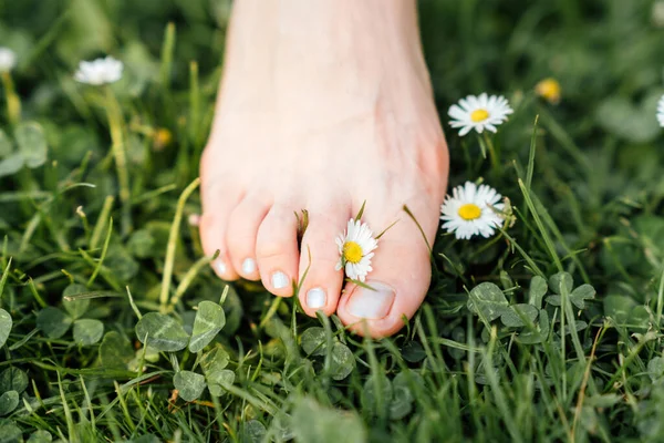 stock image Overstimulation: How To Handle Sensory Overload. A close-up of bare foot touching green grass with delicate daisy flower, moment of connection with nature to counter sensory overload