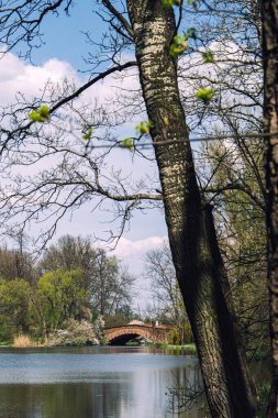 Varşova 'daki Wilanow Sarayı ve Bahçeleri' nde yer alan Wilanow Park 'ta güzel bir çiçek tarlası bulunmaktadır. Parklar yemyeşil ve rengarenk bahar çiçekleri büyür.
