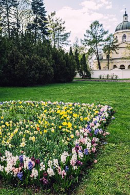 Varşova 'daki Wilanow Sarayı ve Bahçeleri' nde yer alan Wilanow Park 'ta güzel bir çiçek tarlası bulunmaktadır. Parklar yemyeşil ve rengarenk bahar çiçekleri büyür.