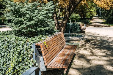 Bereketli yeşil bitkiler ve güneşli bir parkta sarmaşıklarla çevrili ahşap bir park bankı. Doğa ve kentsel rahatlama kavramı.