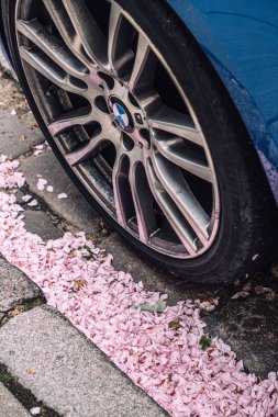 BMW araba tekerleğinin yakın plan fotoğrafı. Pembe çiçek yaprakları, otomotiv ve doğa kontrastı..