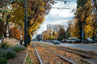 Varşova 'da sonbahar ağaçlarıyla kaplı tramvay rayları. Polonya 'da sonbahar yeşillikleri ve şehir atmosferiyle kent manzarası