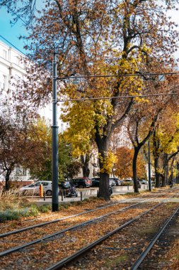 Varşova 'da sonbahar. Tramvay rayları renkli ağaçlar ve konut binalarıyla kaplı. Sonbahar atmosferli şehir manzarası